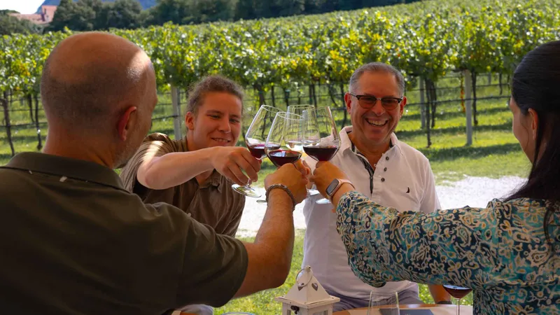 Guided Euganean Hills wine tour with tastings departing Padua, Italy
